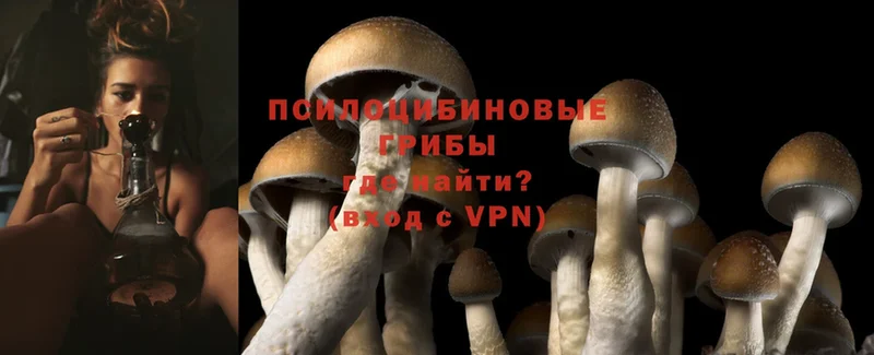 продажа наркотиков  мега как зайти  Галлюциногенные грибы Psilocybe  Ликино-Дулёво 